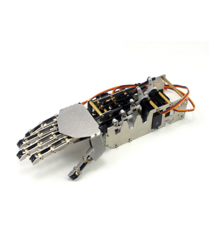 5-DOF Humanoid Robotic Arm & Hand